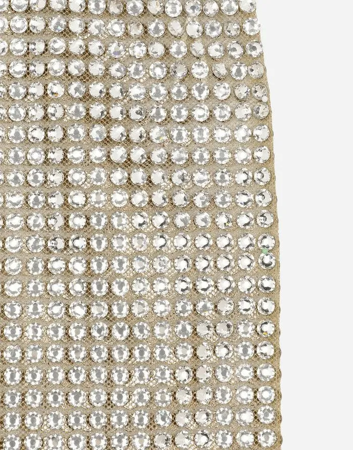 Dolce and Gabbana Skirts Women Tulle Calflength Skirt With Allover Fusible Rhinestone Embellishment Crystal Dolce and Gabbana Skirts Women Tulle Calflength Skirt With Allover Fusible Rhinestone Embellishment Crystal